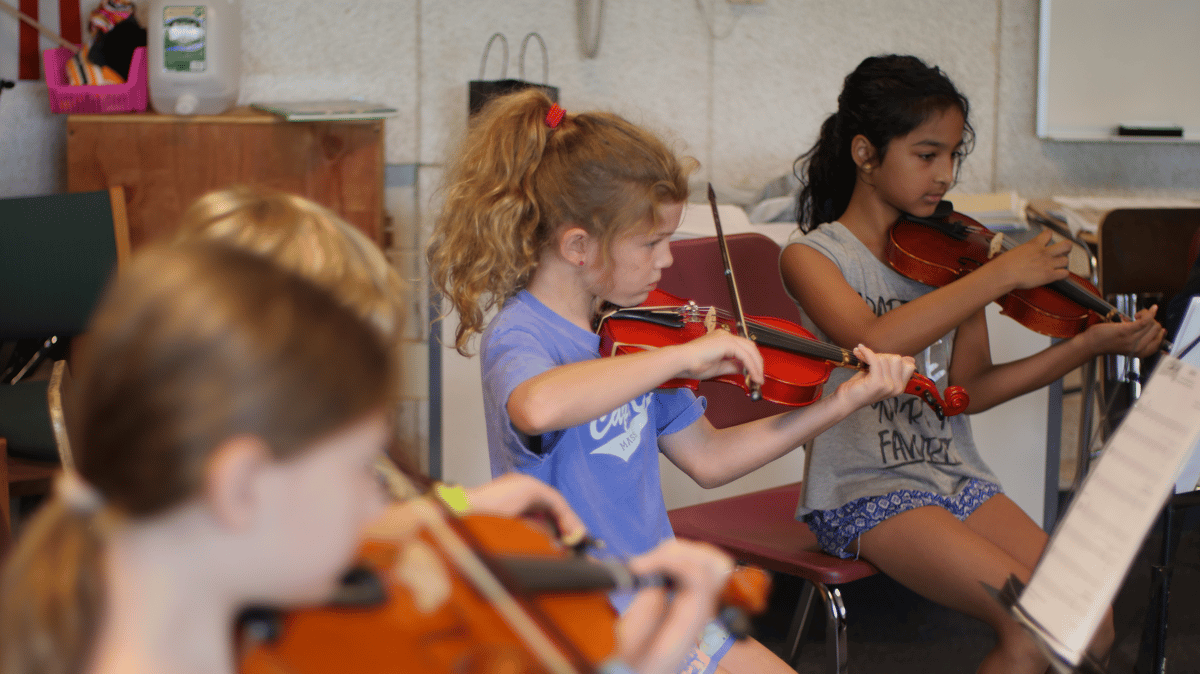 Picture for: Summer Strings