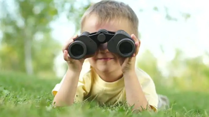 Picture for: Mass Audubon Habitat: Creative Explorers