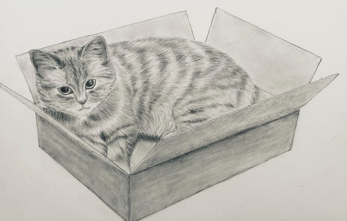 Picture for: Anyone Can Draw