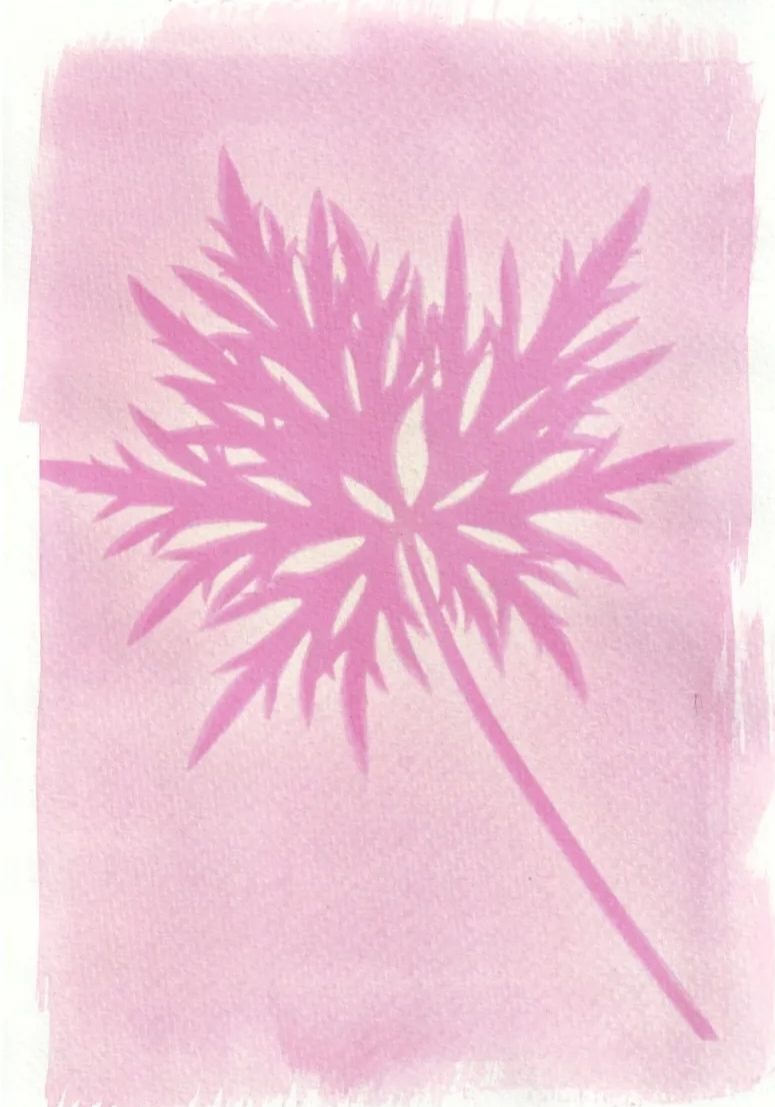 Picture for: Anthotype Print Lab