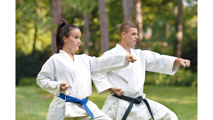 Picture for: Adult Karate