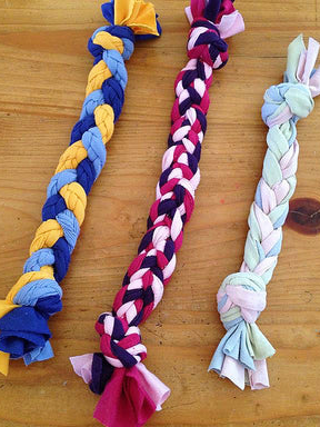 Picture for: Paws-itively Recycled: From Tees to Toys Sponsored by Paw Pantry: Gr. 6-8