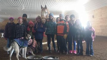 Picture for: Horse Day Camp: Ages 6-15