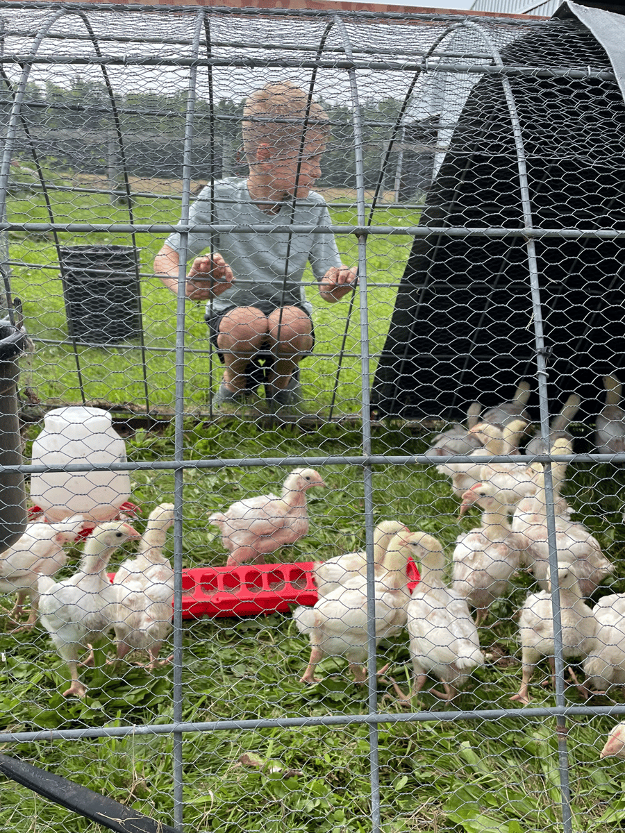 Picture for: Farm Camp: Gr. K+