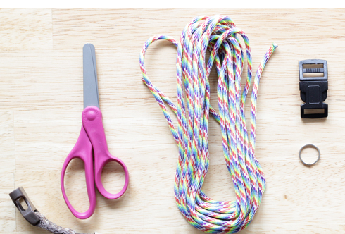 Picture for: Collars for a Cause: Volunteer Opportunity: Gr. 6-8