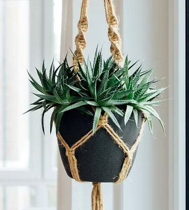 Picture for: Macrame Planter: Adults 21+