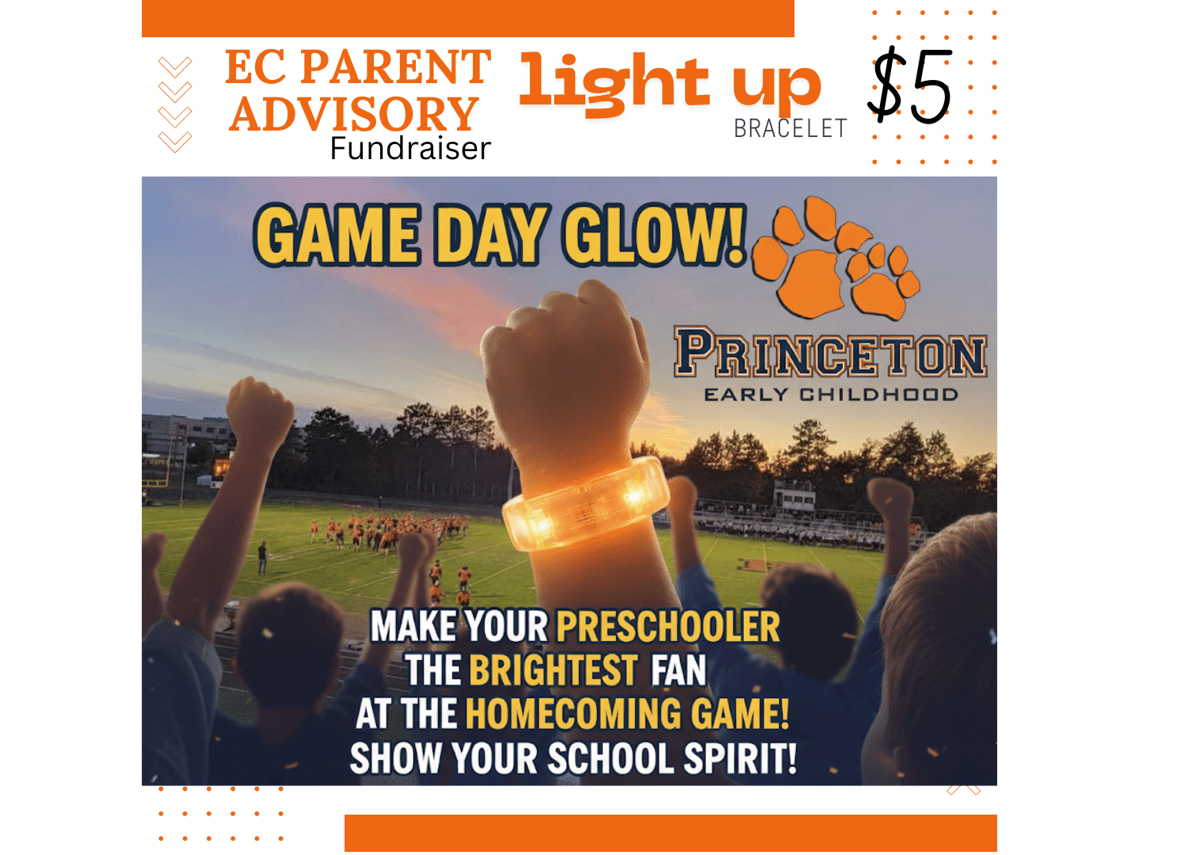 Picture for: EC Parent Advisory Fundraiser - Orange Light Up Bracelets