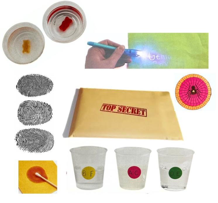 Picture for: STEM Take Home Kit: Case of the Missing Birthday Cake: Age 8+