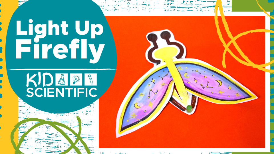 Picture for: Light Up Firefly with KidScientific: Gr. K-5