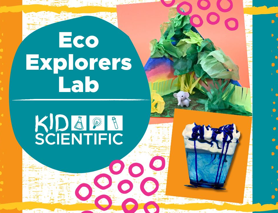Picture for: Eco Explorers Lab: Ages 5-12