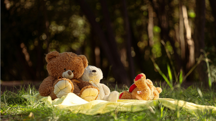 Picture for: Teddy Bear Picnic Gr. K-2