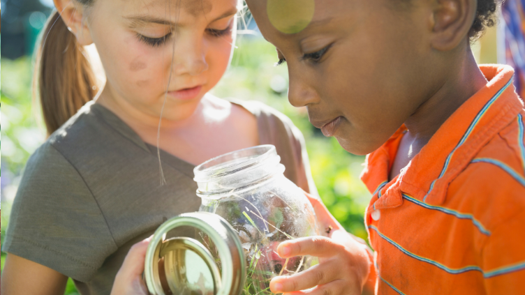 Picture for: Bugged Out Water: Gr. K-6 with Adult