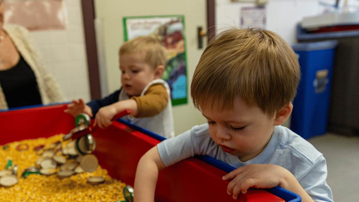 Picture for: Mixed Age Class Separating
