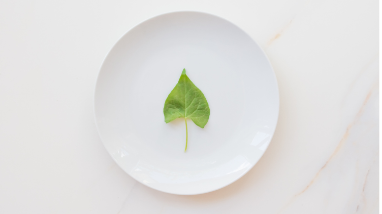 Picture for: The Kitchen Garden: Photosynthesis to Plate with Ms. B: Gr. K-5