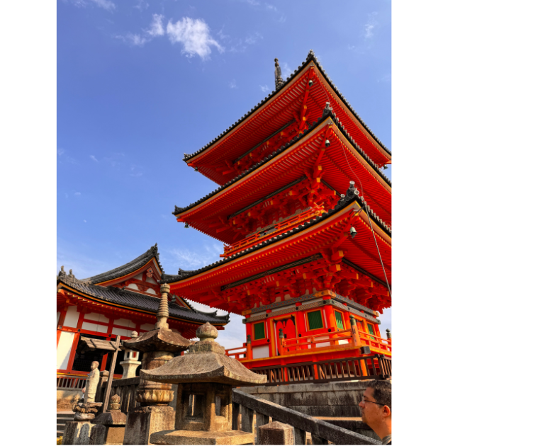 Picture for: 03/28 - 04/10/2027: Cultural Treasures of Japan