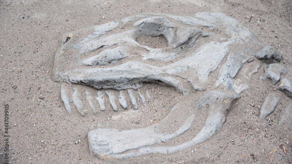 Picture for: Adult and Me: Toddler Time Diggin Up' Dinosaurs