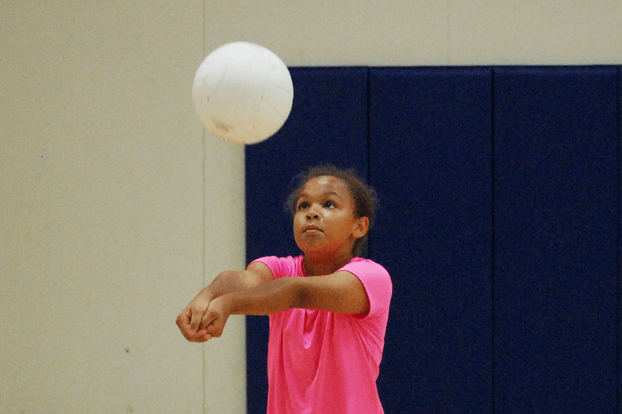 Picture for: Rockwood Thunder Volleyball U9/U10 Volleyball Program