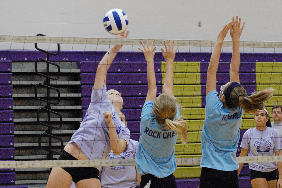 Picture for: Community Ed Girls Volleyball League - 3rd Grade