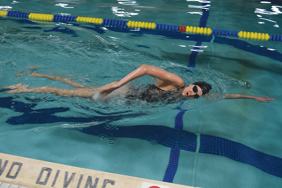 Picture for: Adult Master Lap Fitness Swimming - January through April