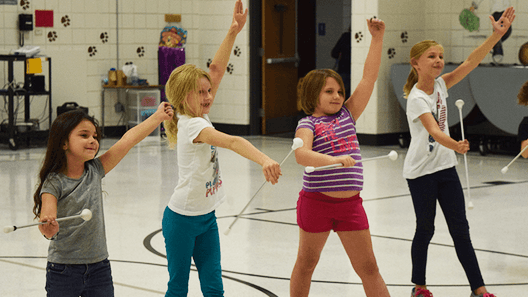 Picture for: Intro to Baton Twirling