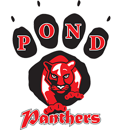 Picture for: Pond Art Club
