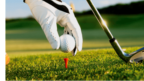 Picture for: High School Boys Golf Session