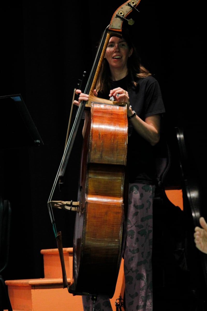 Picture for: Honors Orchestra Auditions-VIOLA / CELLO / BASS -October 8
