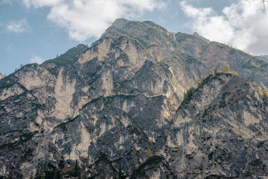 Picture for: Earth Day Celebration