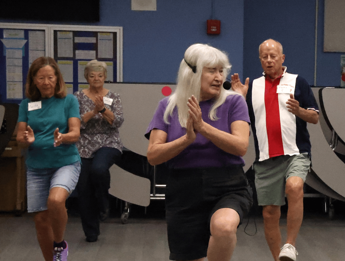 Picture for: Beginner Line Dancing 1