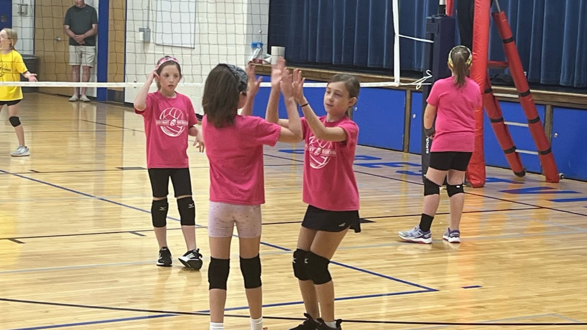 Picture for: Community Ed Fall Volleyball League: Grade 5