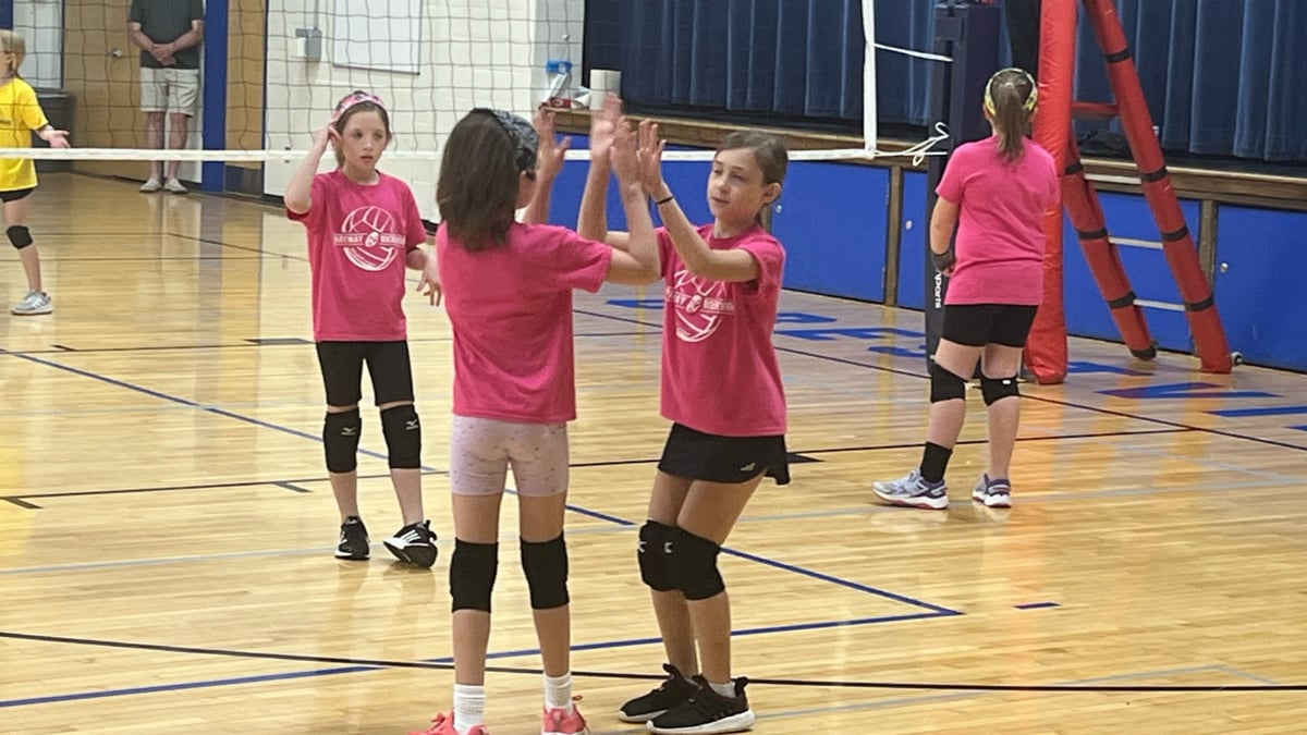 Picture for: Community Ed Fall Volleyball League: Grade 3