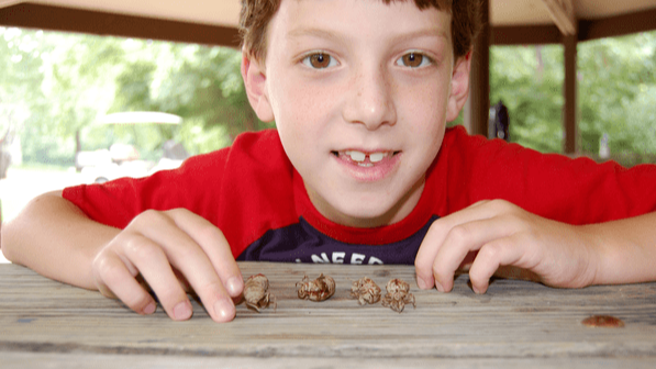 Picture for: Eureka Area  - Week of 06/01-06/05