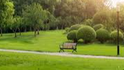 Picture for: Exploring STL Parks