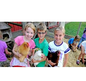 Picture for: Gale Woods Farm | Junior After School Farmers (Grades 1-4)