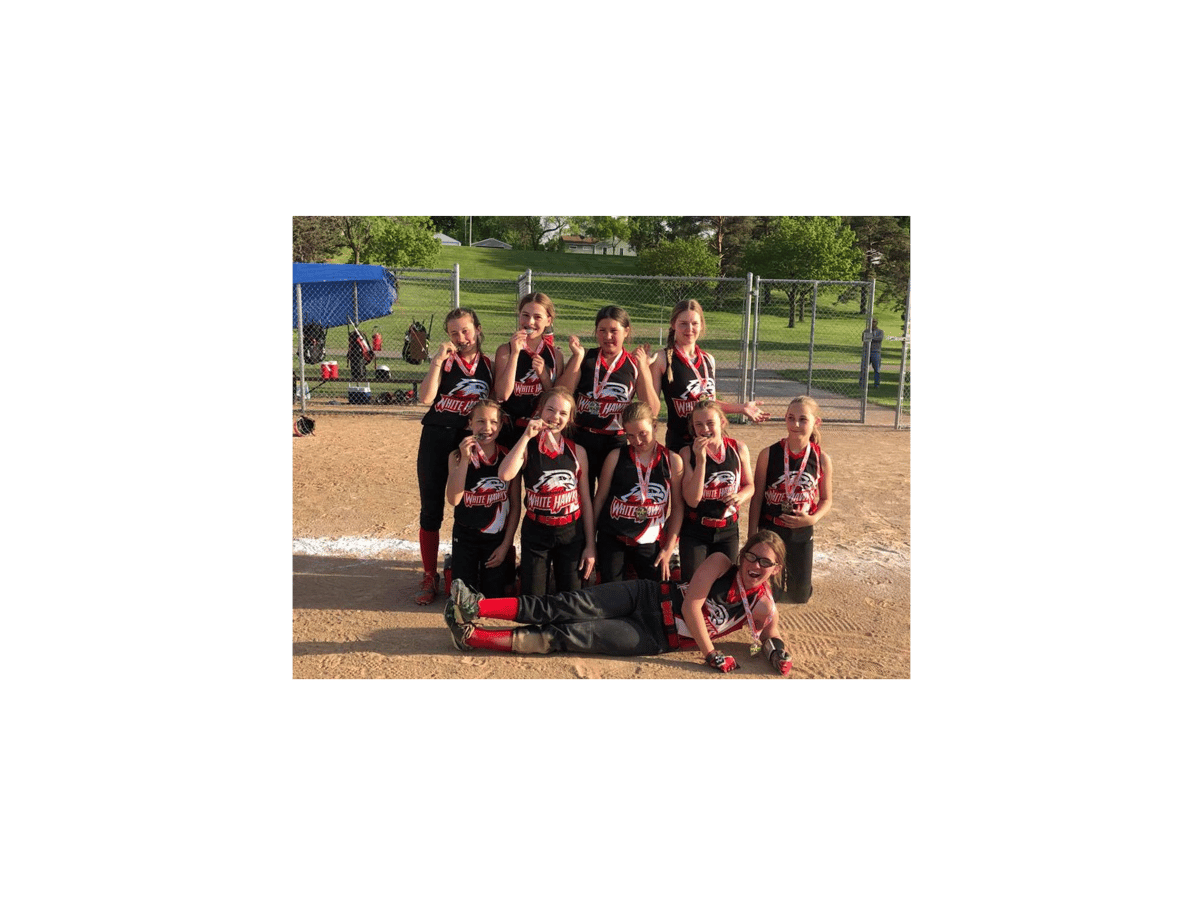 Picture for: Softball | White Hawks Softball Hitting Camp (Ages 5-9)