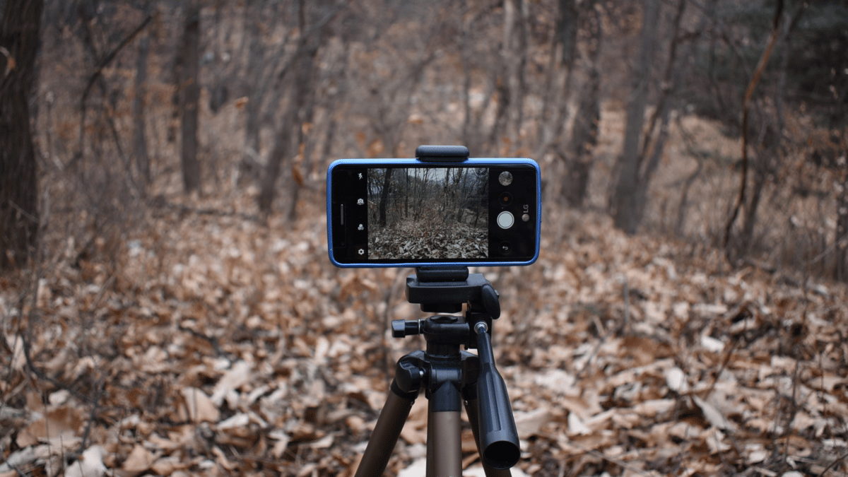 Picture for: Taking Great Photos