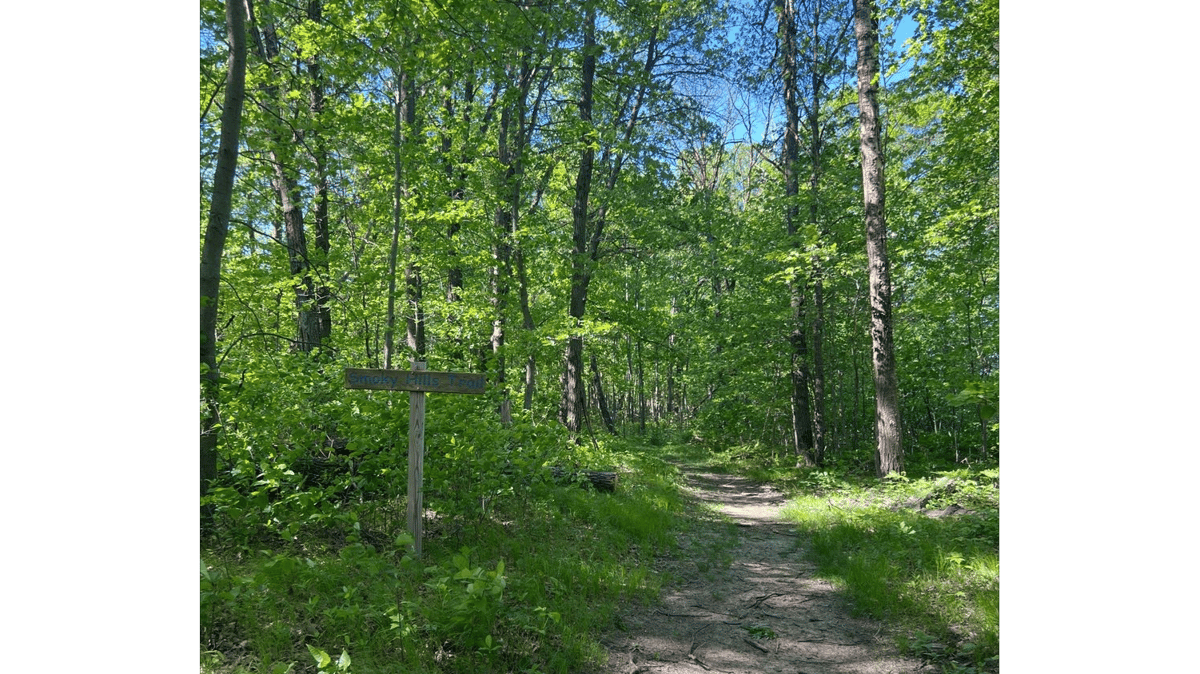 Picture for: Minnesota Biome Hike