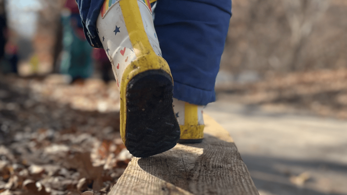 Picture for: Wild Roots: Kindergarten Nature Club