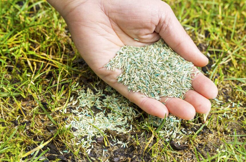 Picture for: Snow Seeding