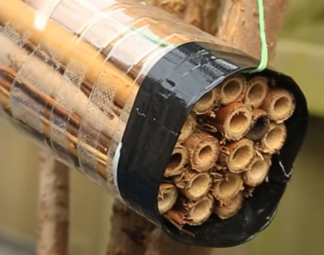 Picture for: Build Your Own Bee House (Adult/Child)