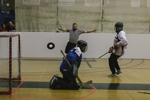 Picture for: DASH: Afterschool Floor Hockey Camp Gr K-5