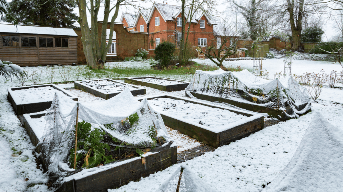 Picture for: Fall into Winter Gardening