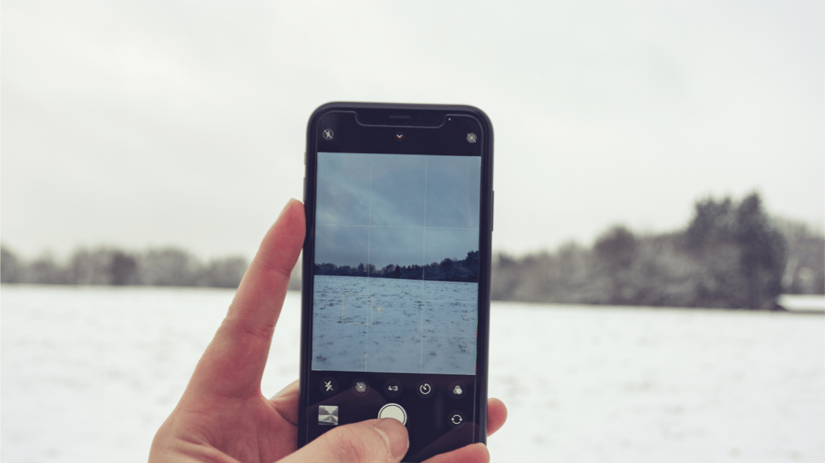 Picture for: Phone Photo Rescue Workshop for Beginners! (online) NEW