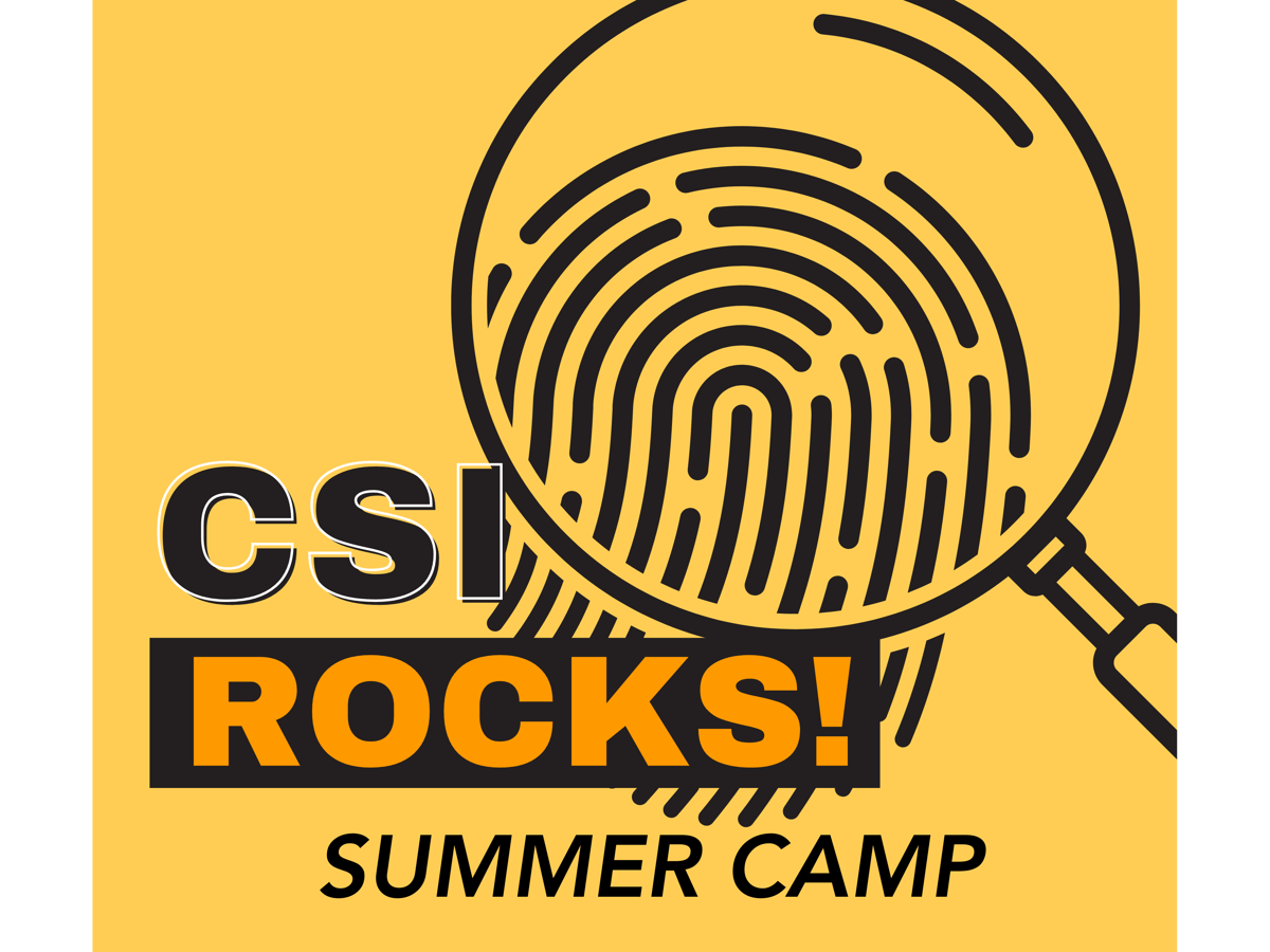 Picture for: CSI Rocks!  (for Grades 10-12)