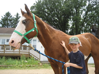 Picture for: Learn About Horses Day Camp