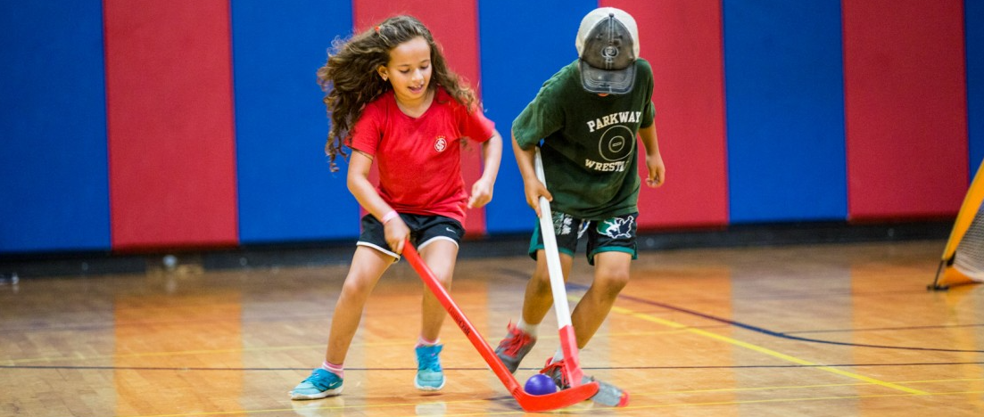 Picture for: Floor Hockey Skills