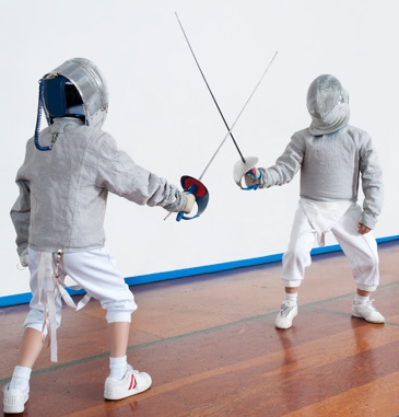 Picture for: Fencing
