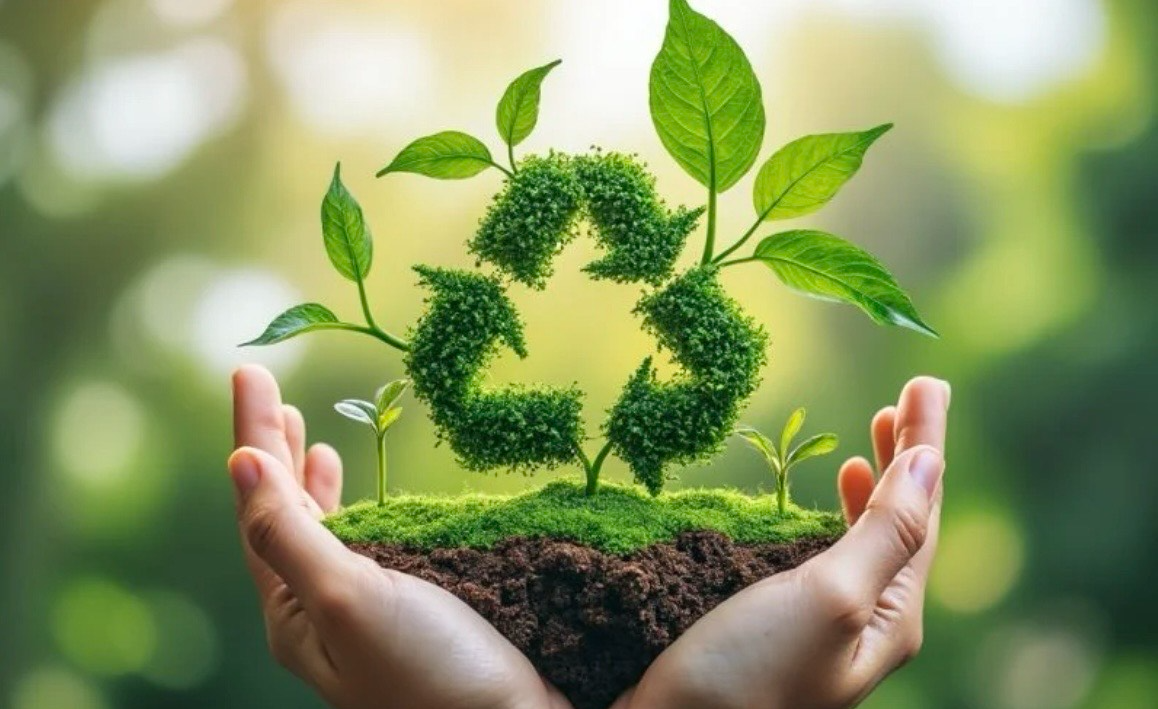 Picture for: Sustainability Club