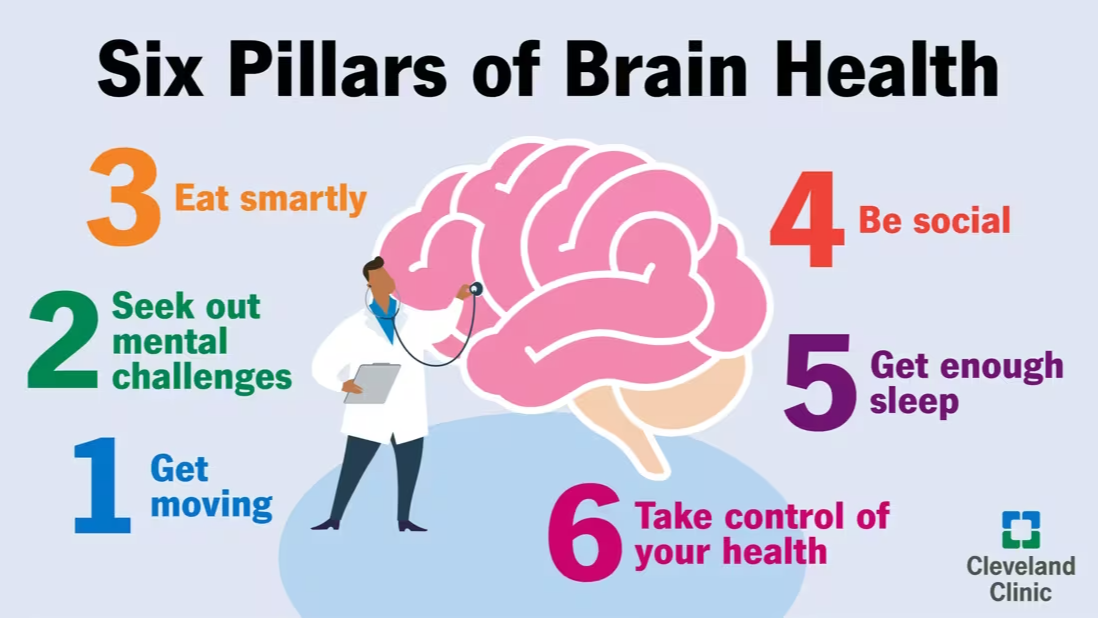 Picture for: The Healthy Brain