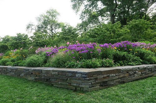 Picture for: Gardening: Start your Flower Garden (Washburn at Las Estrellas)